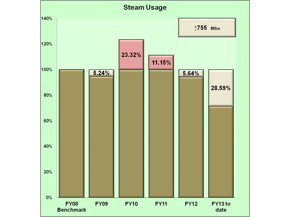 Steam usage 1st quarter fiscal year 2013